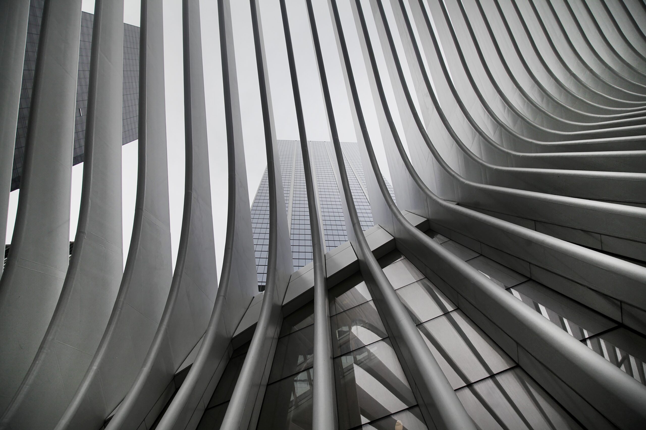 A beautiful black and white upshot of New York City Subway's WTC Cortlandt station also known as Oculus